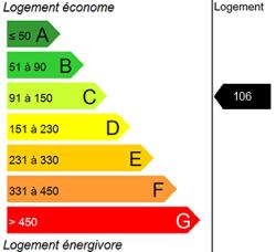 Diagnostic DPE