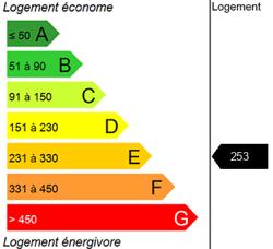 Diagnostic DPE