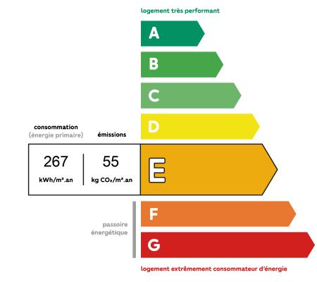 Diagnostic DPE