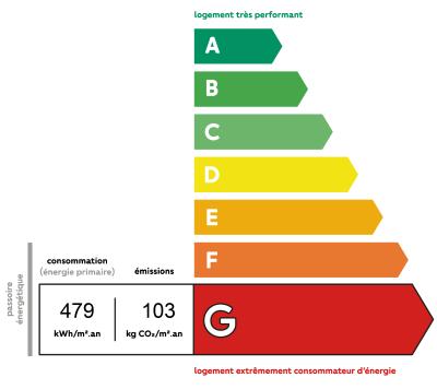 Diagnostic DPE