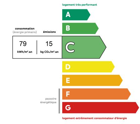 Diagnostic DPE